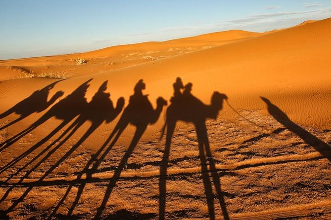 Merzouga Camel Trekking & Overnight Desert Camp - Dining