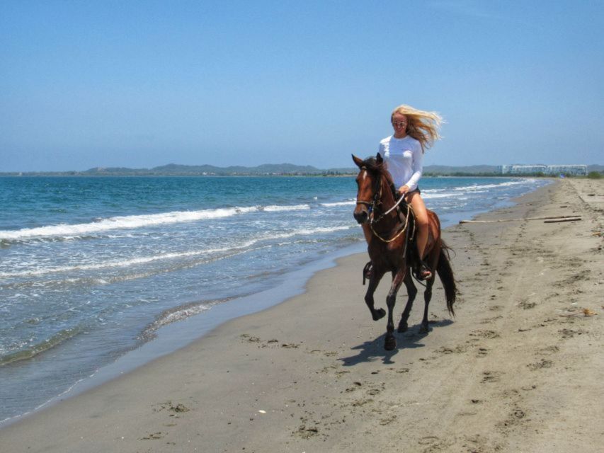 Miami: Beach Horse Ride & Nature Trail - Preparing for the Ride