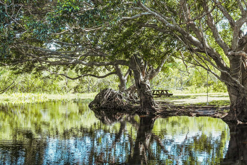 Miami: Everglades National Park Airboat Tour & Wildlife Show - Customer Reviews and Feedback