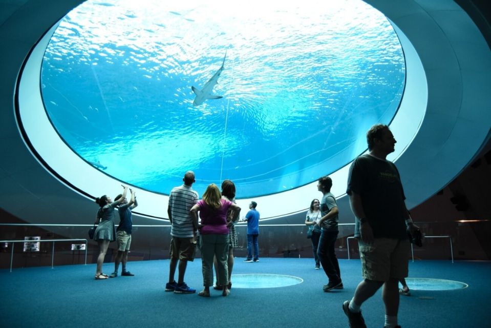 Miami: Frost Museum of Science and Planetarium Entry Ticket - On-site Amenities