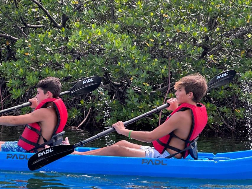 Miami: Paddle Board or Kayak Rental in Virginia Key - Pricing and Duration