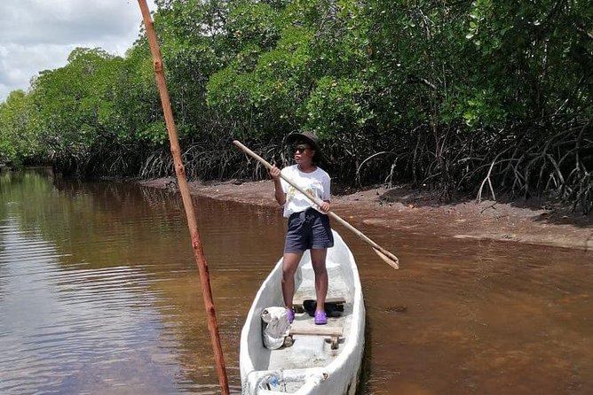 Mida Creek Boardwalk and Canoa Ride - Pickup and Meeting Point