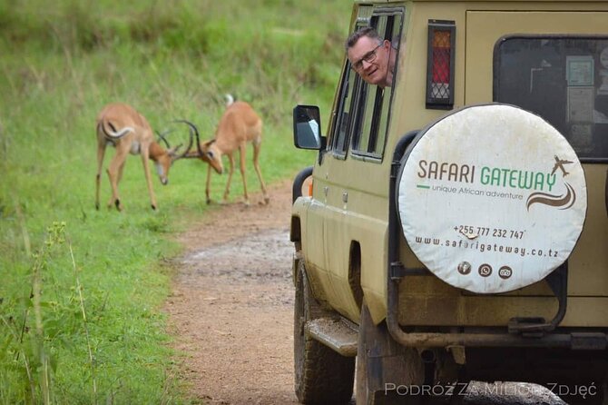 Mikumi Safari Tour: Day Trip Return Flight From Zanzibar - Accessibility and Policies