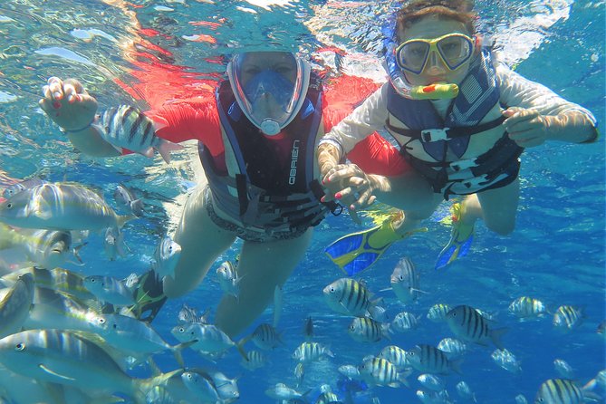 Mimosa Snorkeling Tour From Punta Cana - Confirmation and Booking Process