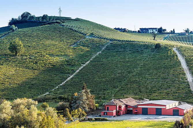 Monferrato (Asti): Wine Tour With Light Lunch Picnic in the Vineyards - Meeting Point and Directions