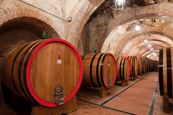 Montepulciano: Winery Tour & Tasting Experience - Traveler Considerations