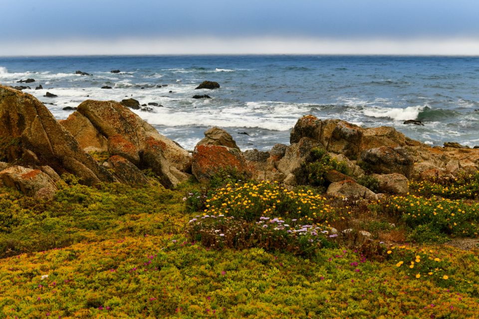 Monterey: 17-Mile Drive Self-Guided Audio Tour - Exclusions