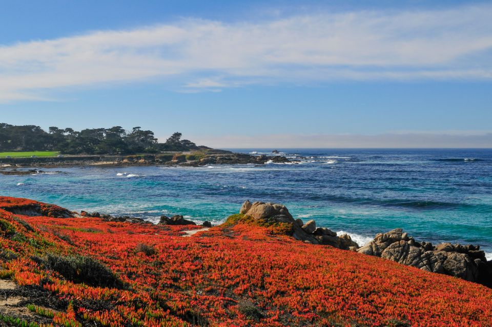 Monterey and Big Sur Discovery: Private Tour From San Jose - Awe-inspiring McWay Falls