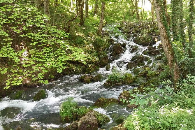 Moraca, Tara & Piva Canyons With Durmitor National Park - Highlights of the Canyons