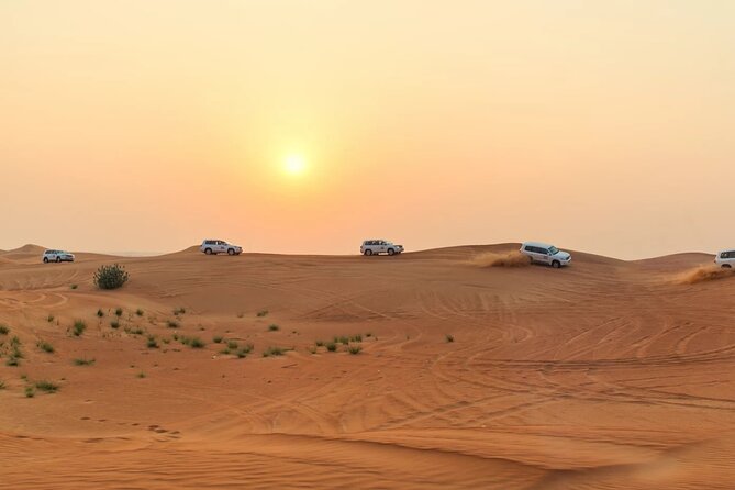 Morning Desert Safari Dubai Private Tour - Pickup and Dropoff Options