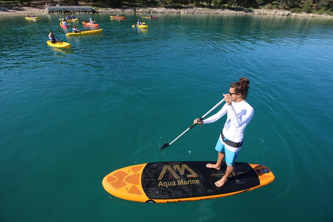 Morning Stand Up Paddle Tour in Split - Cancellation Policy