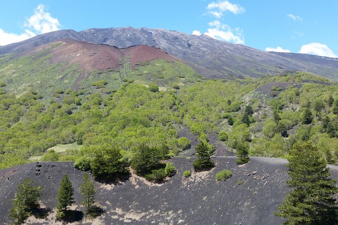 Mount Etna and Alcantara - Tasting Mountain Honey and Liqueurs