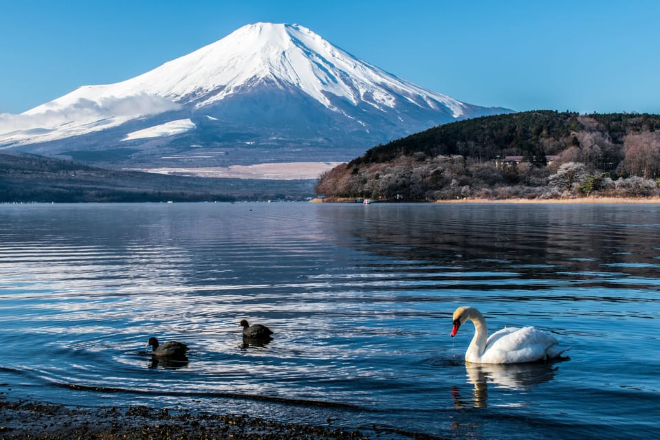 Mount Fuji Full Day Private Tour With English Speaking Guide - Restrictions