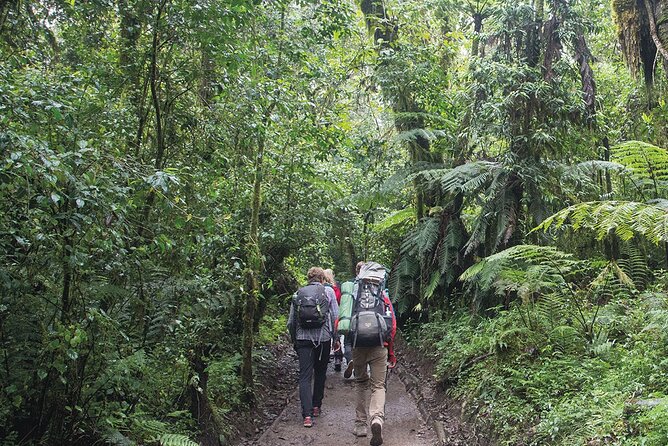 Mount Kilimanjaro Day Hike Through Marangu Route to Mandara Hut - Confirmation and Cancellation Policy