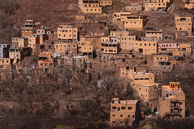 Mount Toubkal Day Trip From Marrakech Small Group - Tour Guide and Language Options