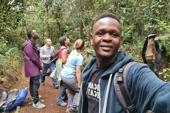 Mountain Kilimanjaro Day Hike - Rainforest Trek to Mandara