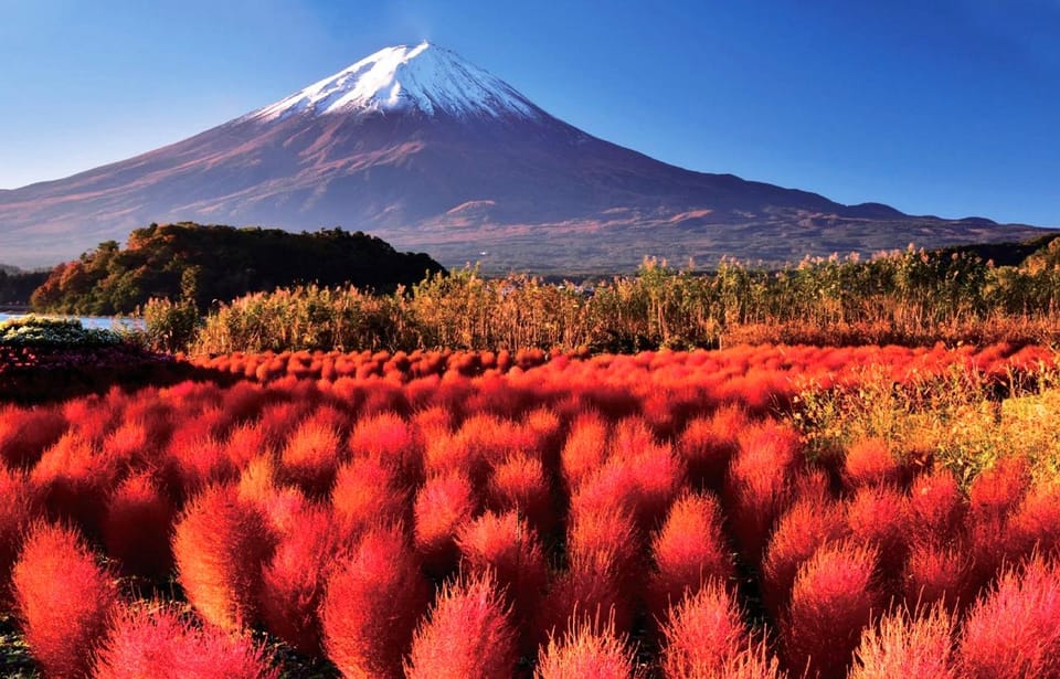 Mt.Fuji, Arakura Pagoda ,Oishi Park, Kawaguchico 1-Day Tour - Starting and Drop-off Locations