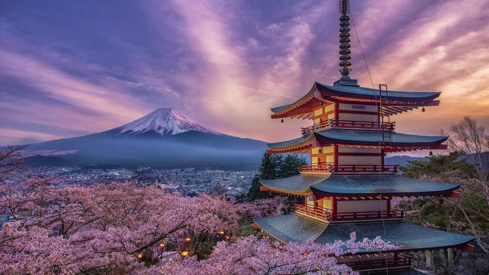 Mt. Fuji Tour With an English Speaking Driver - Important Information and Requirements