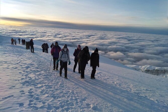 Mt Kilimanjaro Climb - 8 Days Lemosho - Highlights of the Climb