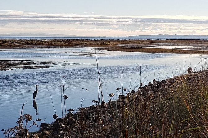 Mud Bay Park Bicycle Rental - Meeting and Pickup Point