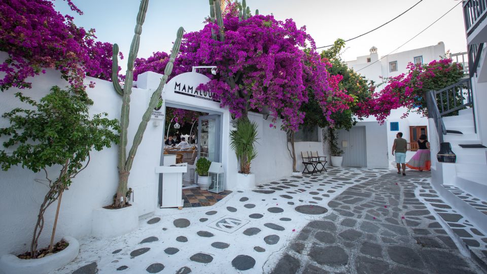 Mykonos: Mykonos Town Private Walking Tour - Booking Information