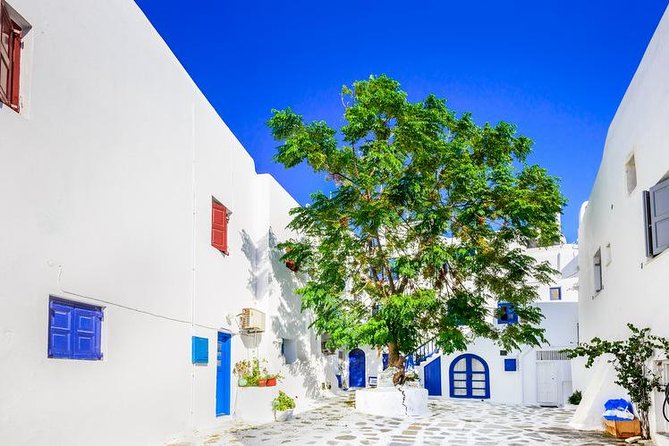 Mykonos Town and Island Half-Day Tour - Practical Information