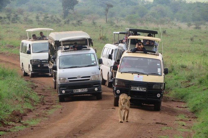 Nairobi Nat Park,Sheldrick Elephant Giraffe Centre&Karen Blixen - Included Amenities