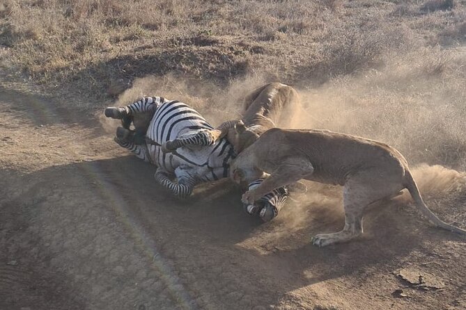 Nairobi National Park Group Shared Tour - Accessibility and Restrictions