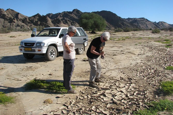 NAMIB DESERT Tours, Full-Day and Half-Day TOURS From Swakopmund, Namibia - Lunch Offerings