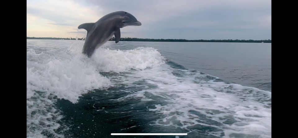 Naples, FL: 3 Hour Private Dolphin & Manatee Tour - Preparing for the Tour