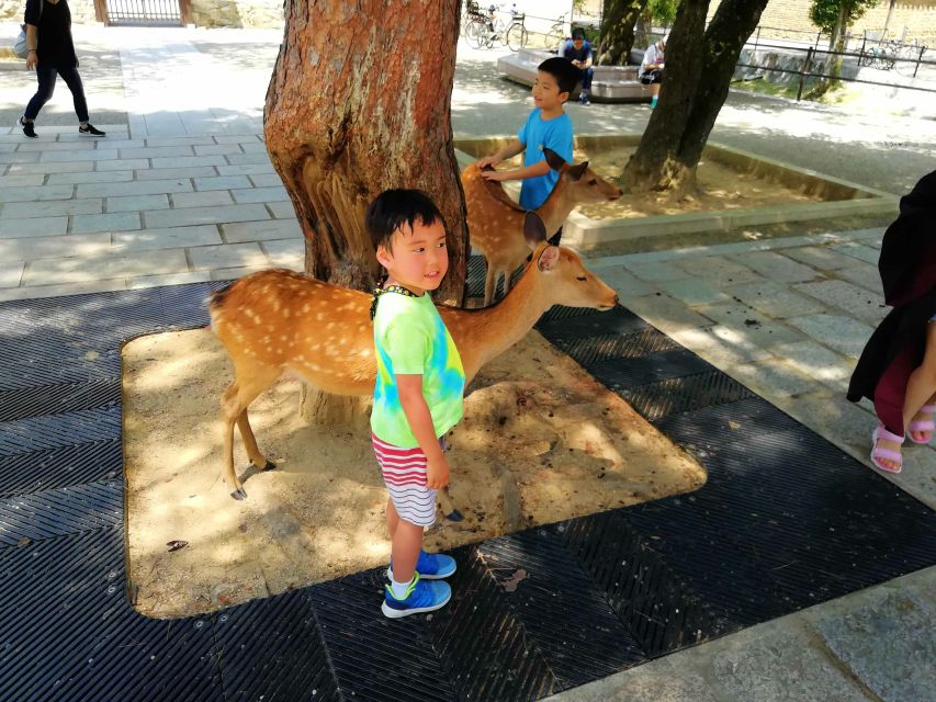 Nara: Nara Park Private Family Bike Tour With Lunch - Optional Drop-off Locations