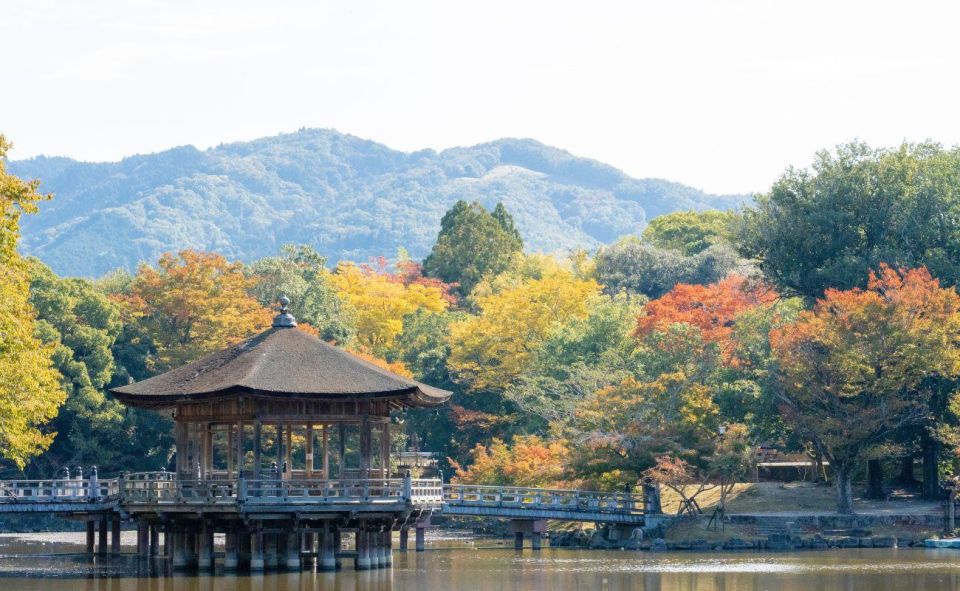 Nara: Private City Tour With A Local Guide - Flexible Schedules