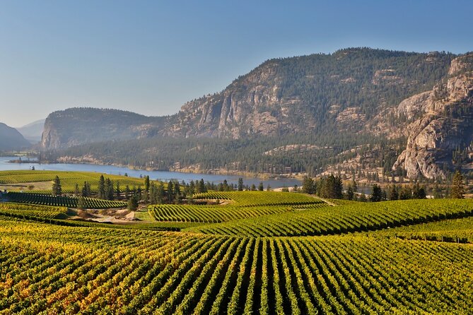 Naramata Bench Wine Experience From Vernon - 4 Wineries - Cancellation Policy