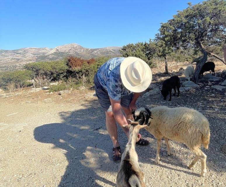 Naxos: Cheese and Wine Private Food Tour - Cheese and Wine Experiences