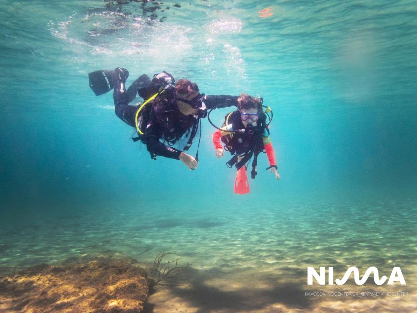 Naxos: Discover Scuba Dive With Nima Dive Center - PADI Certification Credit