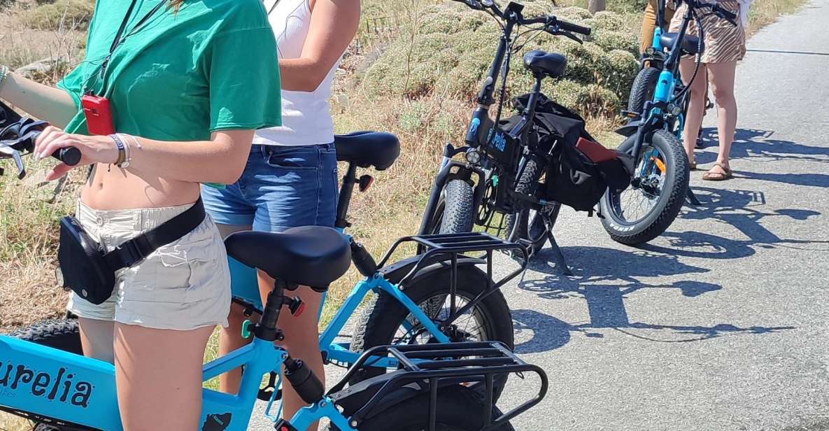 Naxos: E-Bike Guided Tour With Light Farmyard Lunch - Customer Feedback