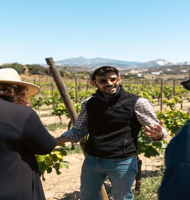 Naxos: Private E-Bike Tour With Wine Tasting Inland Methexis - Customer Reviews