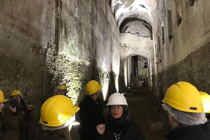 Neros Golden House Restoration Site Tour - Arrival Time