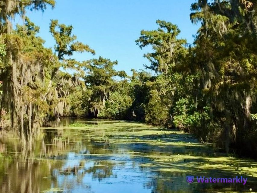 New Orleans: Airboat Swamp & City and Katrina Tour Combo - Frequently Asked Questions