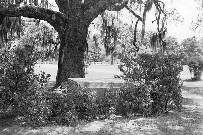 New Orleans Dead of Night Ghosts and Cemetery Bus Tour - Weather and Cancellation Policy