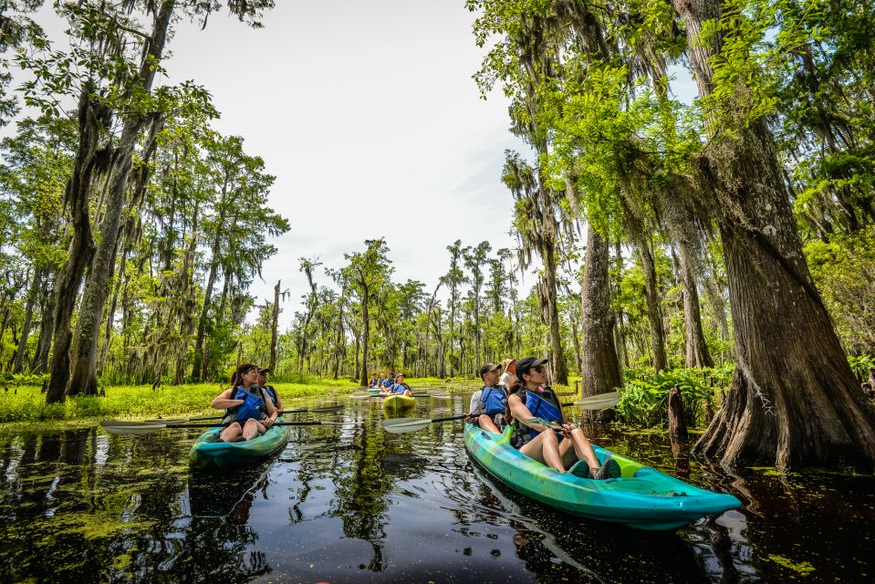 New Orleans: Manchac Magic Kayak Swamp Tour - What to Bring