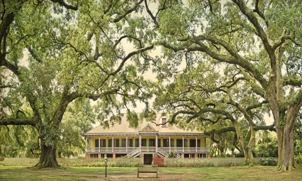 New Orleans: Oak Alley or Laura Plantation & Airboat Tour - Airboat Tour Experience