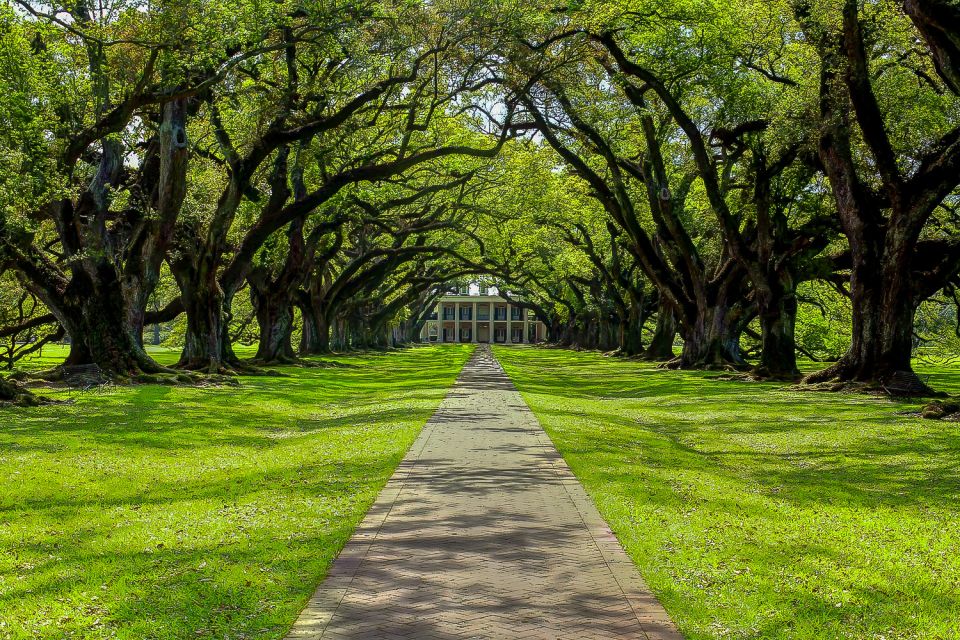 New Orleans: Oak Alley Plantation & Swamp Cruise Day Trip - Accessibility and Recommended Items