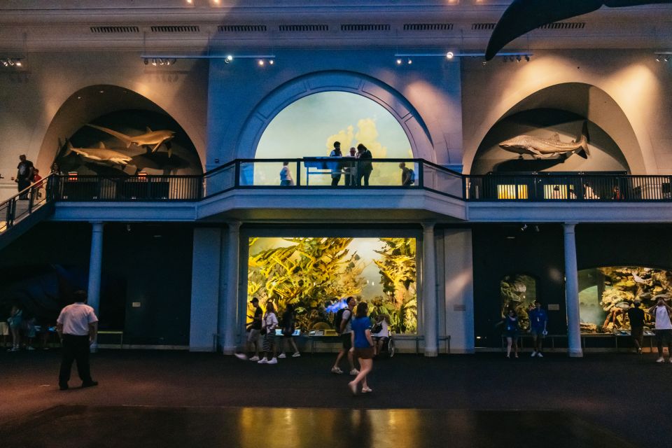 New York City: American Museum of Natural History Ticket - Visitor Reviews