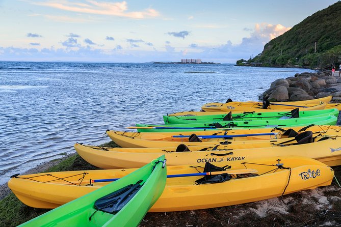 Night Kayaking Experience on Bioluminescent Lagoon in Fajardo - Meeting Point and Tour Duration