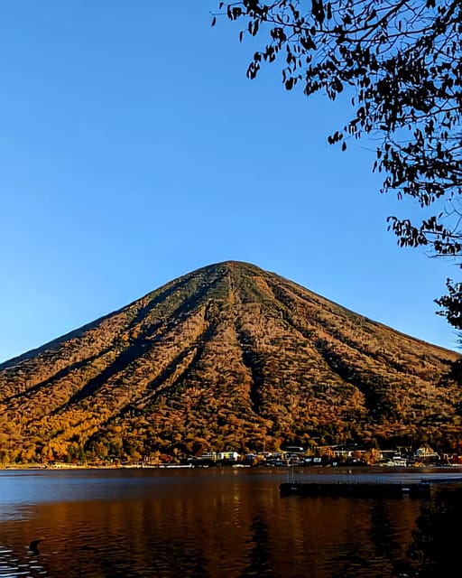 Nikko Full-Day Private Sightseeing Day Trip - Customer Reviews and Ratings