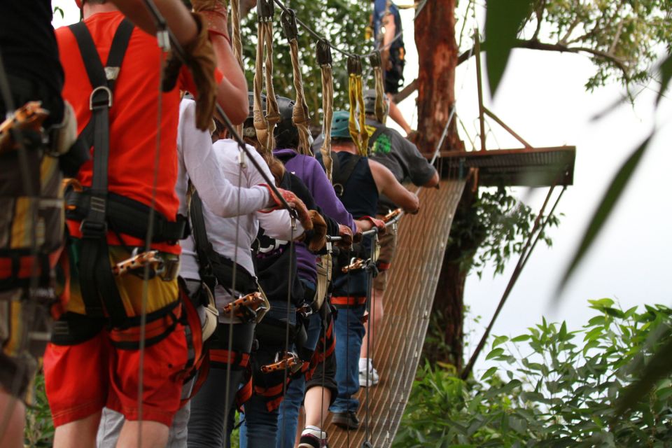 North Maui: 7 Line Zipline Adventure With Ocean Views - Participant Requirements and Restrictions