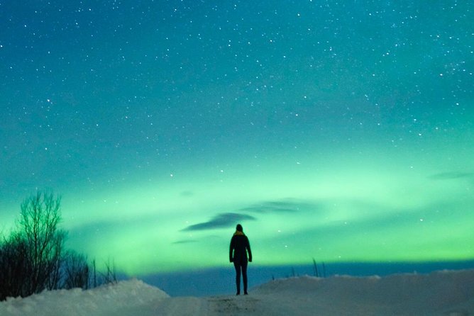 Northern Lights Bus Tour From Reykjavik - Destination Highlights