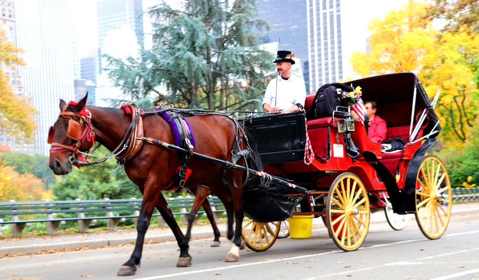 NYC: Central Park Horse-Drawn Carriage Ride (up to 4 Adults) - Meeting Point Location