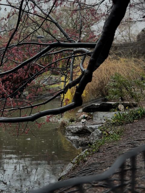 NYC Central Park Pedicab Tours - Central Parks Storied History